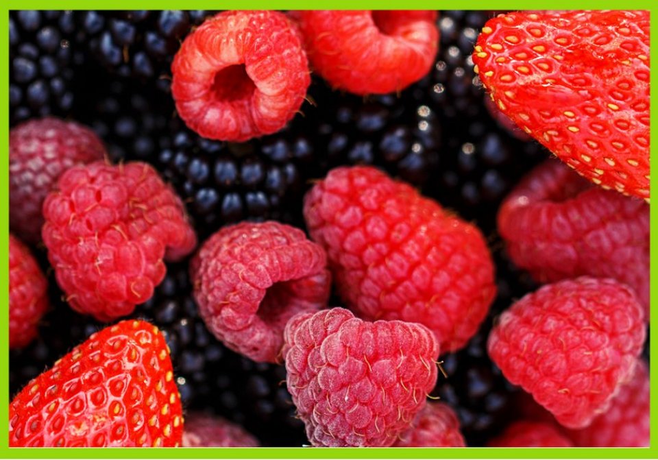 Mix de Frutas Vermelhas Congeladas (Amora, Framboesa, Mirtilo e Morango)